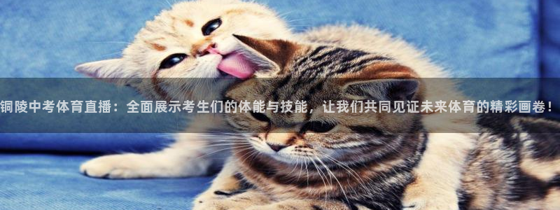 jrs直播低调看球网：铜陵中考体育直播：全面展示考生们的体能与技能，让我们共同见证未来体育的精彩画卷！
