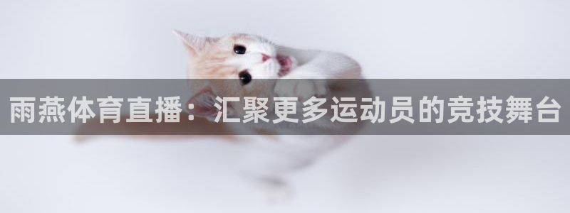 jrs直播jrs低调看球直播