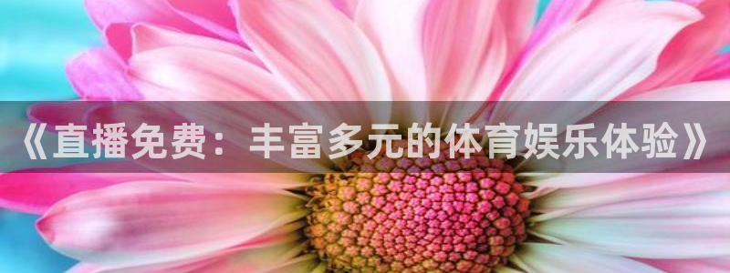 jrs直播(无插件)直播：《直播免费：丰富多元的体育娱乐体验》
