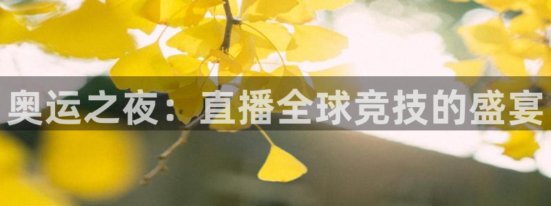 jrs低调看球-jrs直播nba无插件|低调看直播|足球直播吧|世界杯直播吧：奥运之夜：直播全球竞技的盛宴