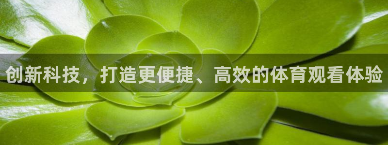 jrs直播低调看球网：创新科技，打造更便捷、高效的体育观看体验